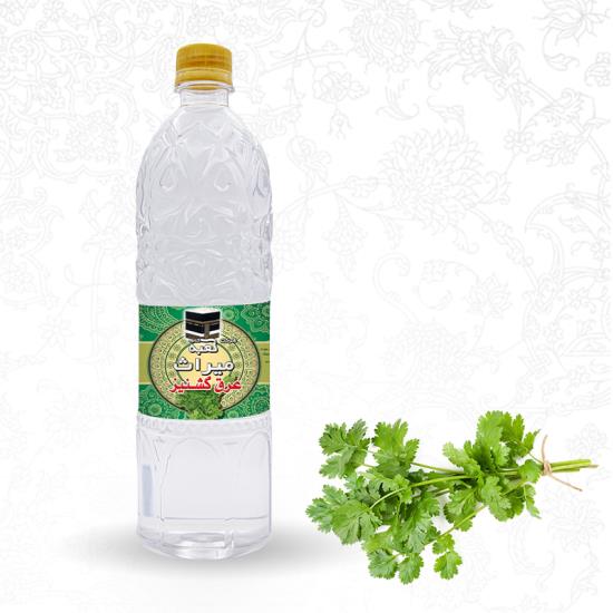 الکزبرة