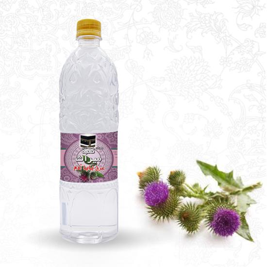 الأرقيطون